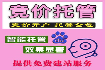竞价推广SEM托管的成功之路——某行业领军企业的实践